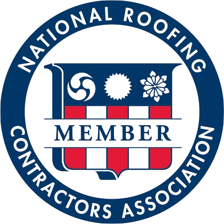 image-removebg-preview (1)